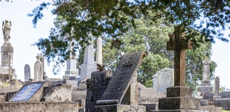 From Deterioration to Revitalization: Preserving the Rich History of a Historical Burial Ground