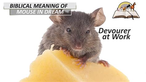 From Fables to Dreams: Unraveling the Meaning of Mice