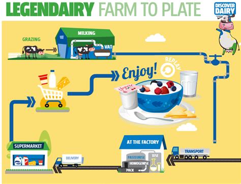 From Pasture to Plate: The Journey of Fresh Milk Production