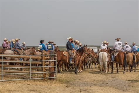 From Ranches to Rodeos: The Varied Roles of Cowboys