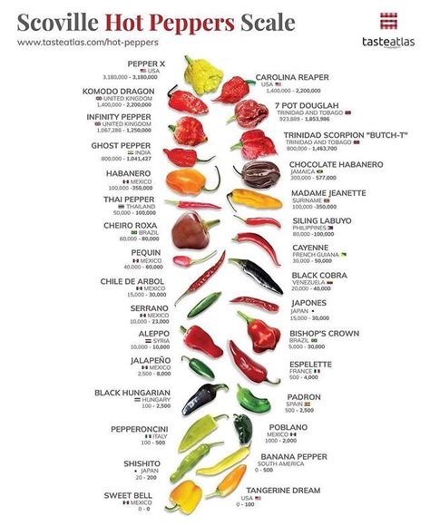 From Scoville Heat Units to Capsaicin: Unveiling the Secrets of Spice