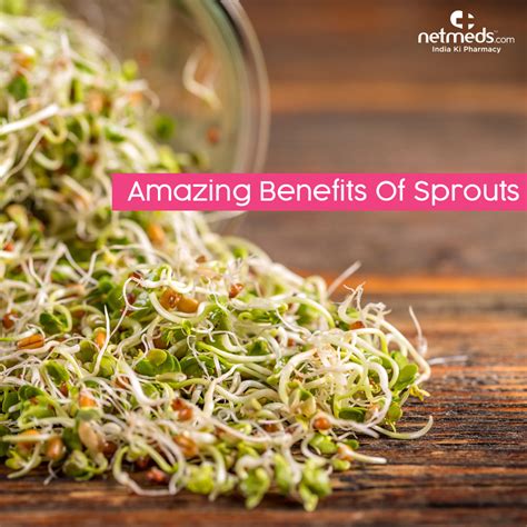 From Seeds to Superfood: The Nutritional Value of Sprouts