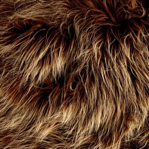 Fur Dreams: A Glimpse into Your True Nature and Individuality