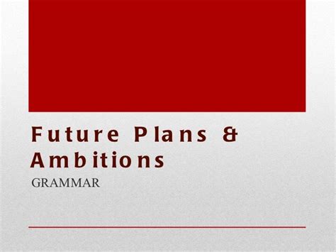 Future Plans: Misako's Ambitions