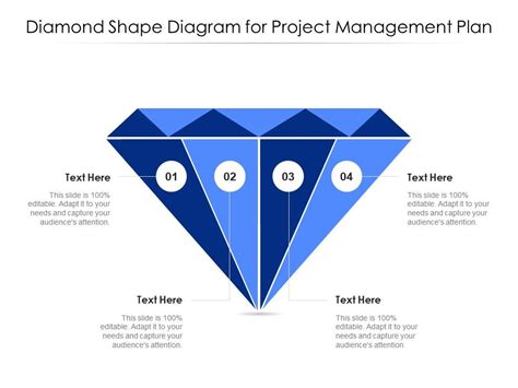 Future Plans and Projects of Diamond Red