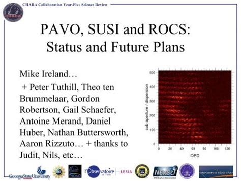 Future Plans and Projects of Susi Cornelia