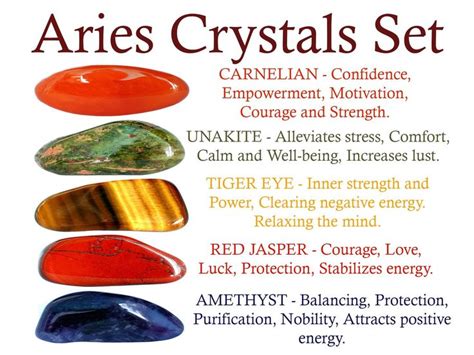 Future Prospects and Aspirations of Aries Stone