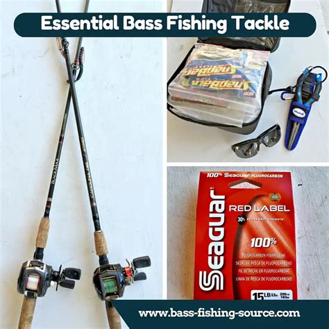 Gear Up for Success: Essential Tools and Equipment for Bass Fishing