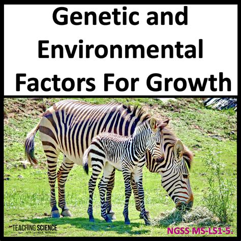 Genetic Factors and Growth