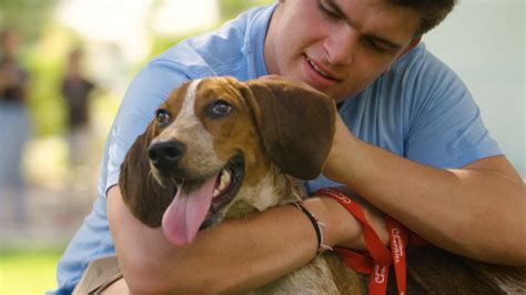 Getting Your Home Ready for a New Furry Family Member