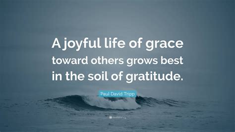 Gratitude: An Accessible Journey Towards Joyful Living