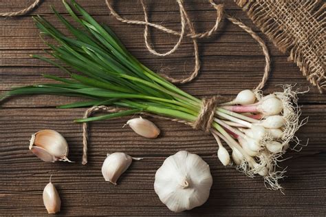 Green Garlic as a Flavorful Substitute: Enhancing Dishes with a Unique Twist