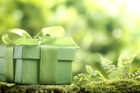 Green Gifting: Sustainable and Eco-Friendly Gift Ideas