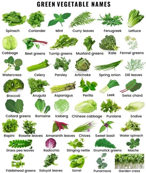 Green Vegetables: The Key to Enhanced Well-being