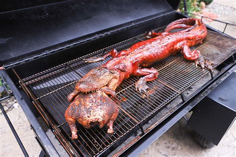 Grill, Fry, or Bake? Choosing the Perfect Cooking Method for Alligator