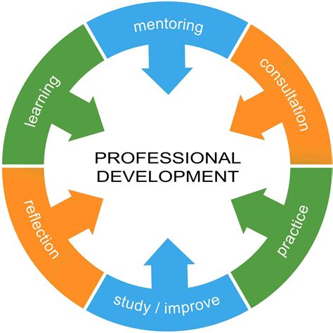 Guidance for Emerging Professionals