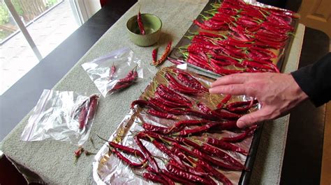 Harvesting and Utilizing Spicy Peppers