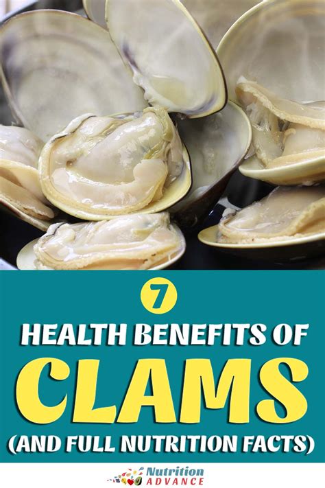 Health Benefits of Clam Digging: Exercise, Vitamin D, and Stress Relief