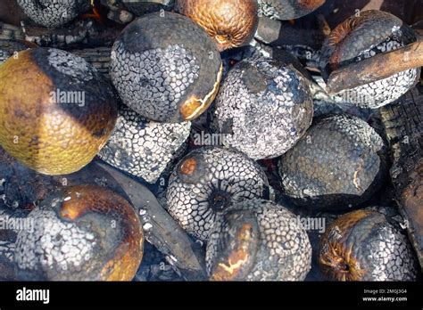 Health Benefits of Consuming Fire-Roasted Artocarpus Altilis