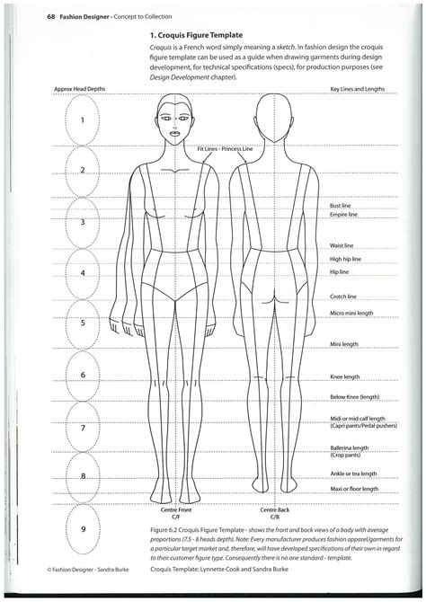 Height, Figure, and Style Evolution