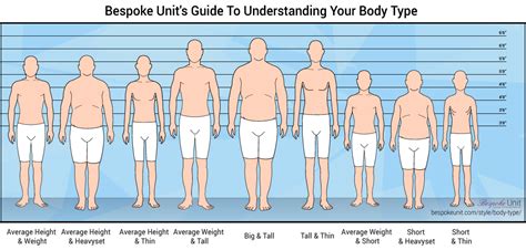 Height, weight, and overall figure description