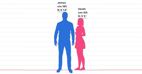 Height Comparison to Colleagues