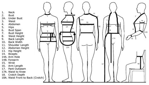 Height and Body Measurements Disclosure