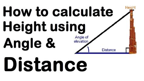 Height and Figure: The Basics