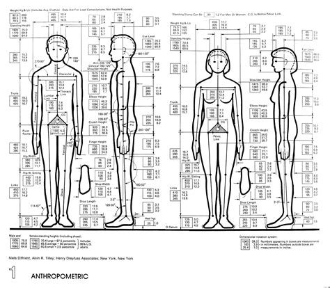 Height and Physical Dimensions