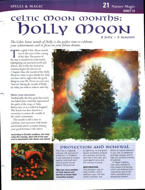 Height of Holly Moon - Unveiled