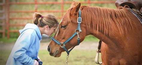 Horses as Healing Companions: Discovering the Transformative Potential of Equine Therapy