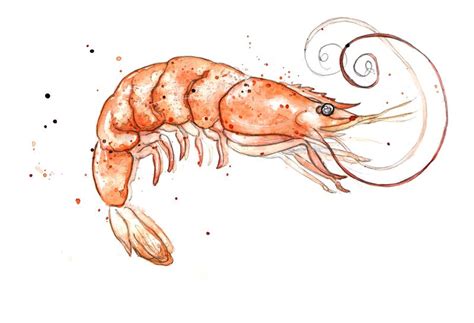 Imagining Life as a Shrimp: What Inspires Our Subaqueous Daydreams?