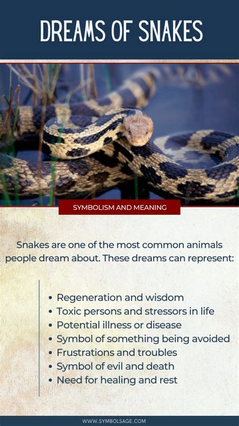 Impact of Personal Beliefs on the Interpretation of Snake Battles in Dreams