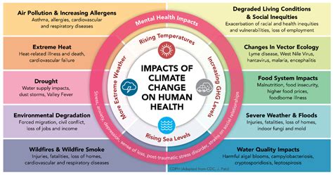 Impacts on Human Health: Revealing the Startling Effects