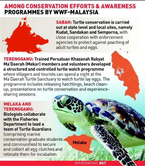 Implementing Effective Laws and Policies for the Conservation of Marine Turtles