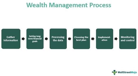 Income Sources and Wealth Management of Lilly Roma