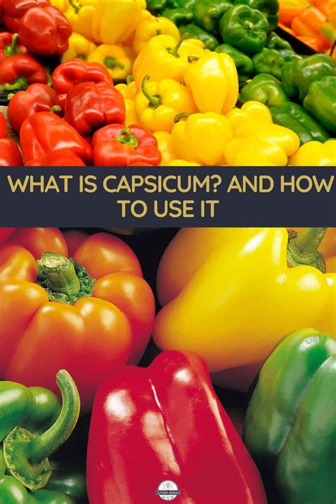 Incorporating Fresh Capsicum into a Well-Balanced Diet