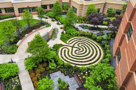 Incorporating Nature: Creating Healing Gardens and Green Spaces