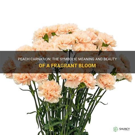 Incorporating Symbolic Significance of Fragrant Blooms to Enrich Your Daily Life: Suggestions and Advice