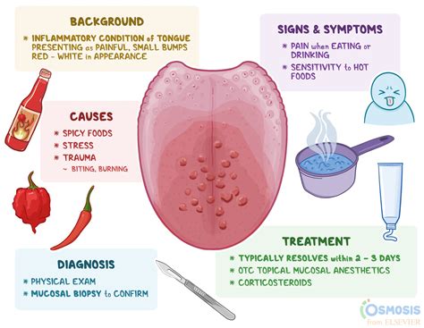 Indications and Signs: How to Identify if Your Tongue is Enlarged