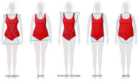 Information about her body shape