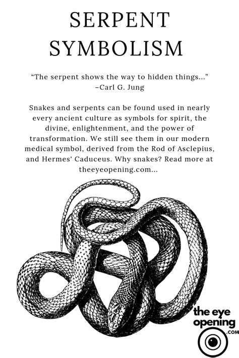 Inner Wisdom: Exploring the spiritual implications of a Pale Serpent vision