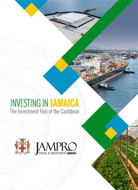 Insight into Jamaica Bandz's Wealth and Investments