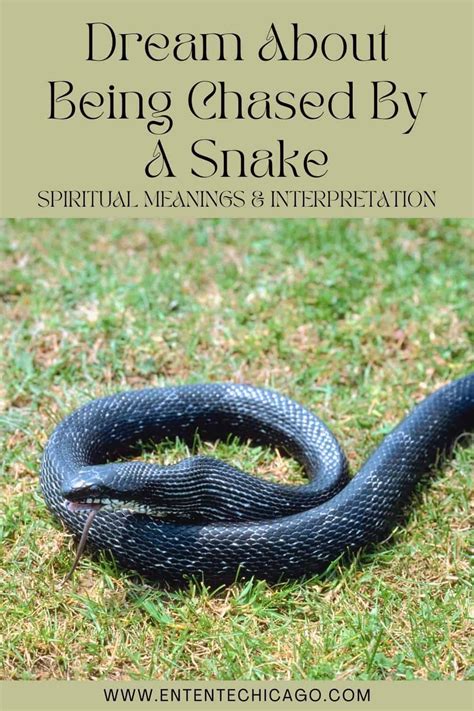 Insight into the African Cultural Significance of Snake Dreams