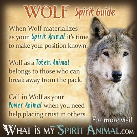 Insightful Advice for Investigating and Comprehending the Symbolic Significance Behind Piercing a Wolf in One's Dreams