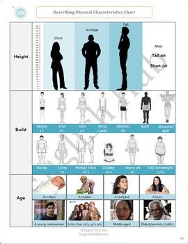 Insights into her height measurement