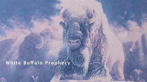 Insights into the Future: White Buffalo Prophecies