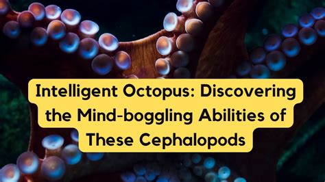 Intelligent Minds: Revealing the Cognitive Abilities of Cephalopods