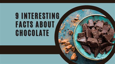 Interesting Facts about Chocolate Paradise