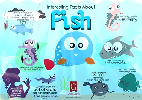 Interesting Facts and Curiosities